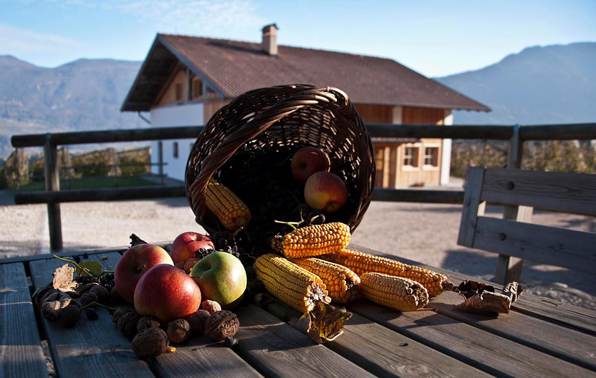 Agritur Maso Pra' Cavai B&B Balbido-rango Dış mekan fotoğraf